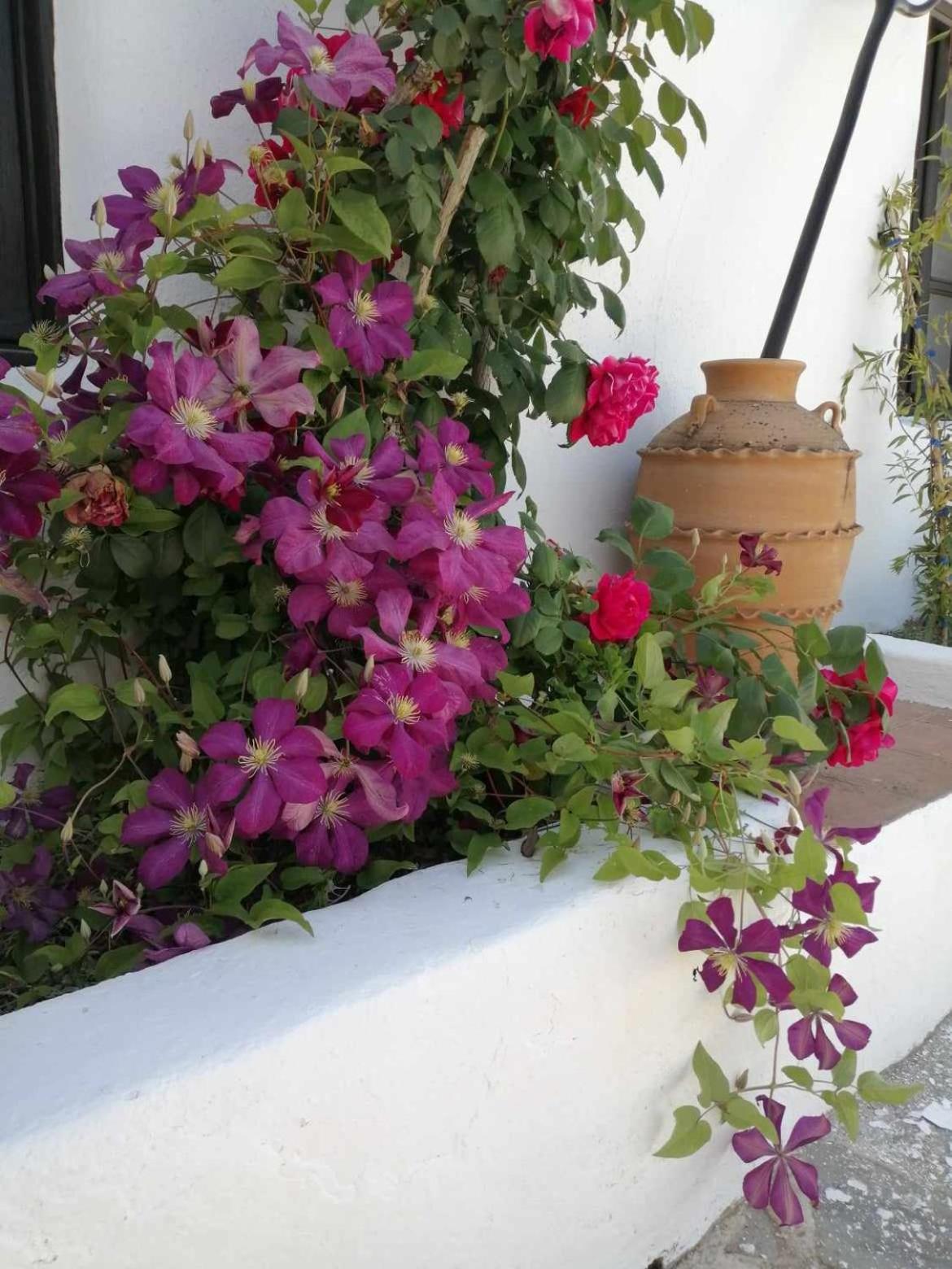 Casa Miguel Montefrio Villa Granada Dış mekan fotoğraf