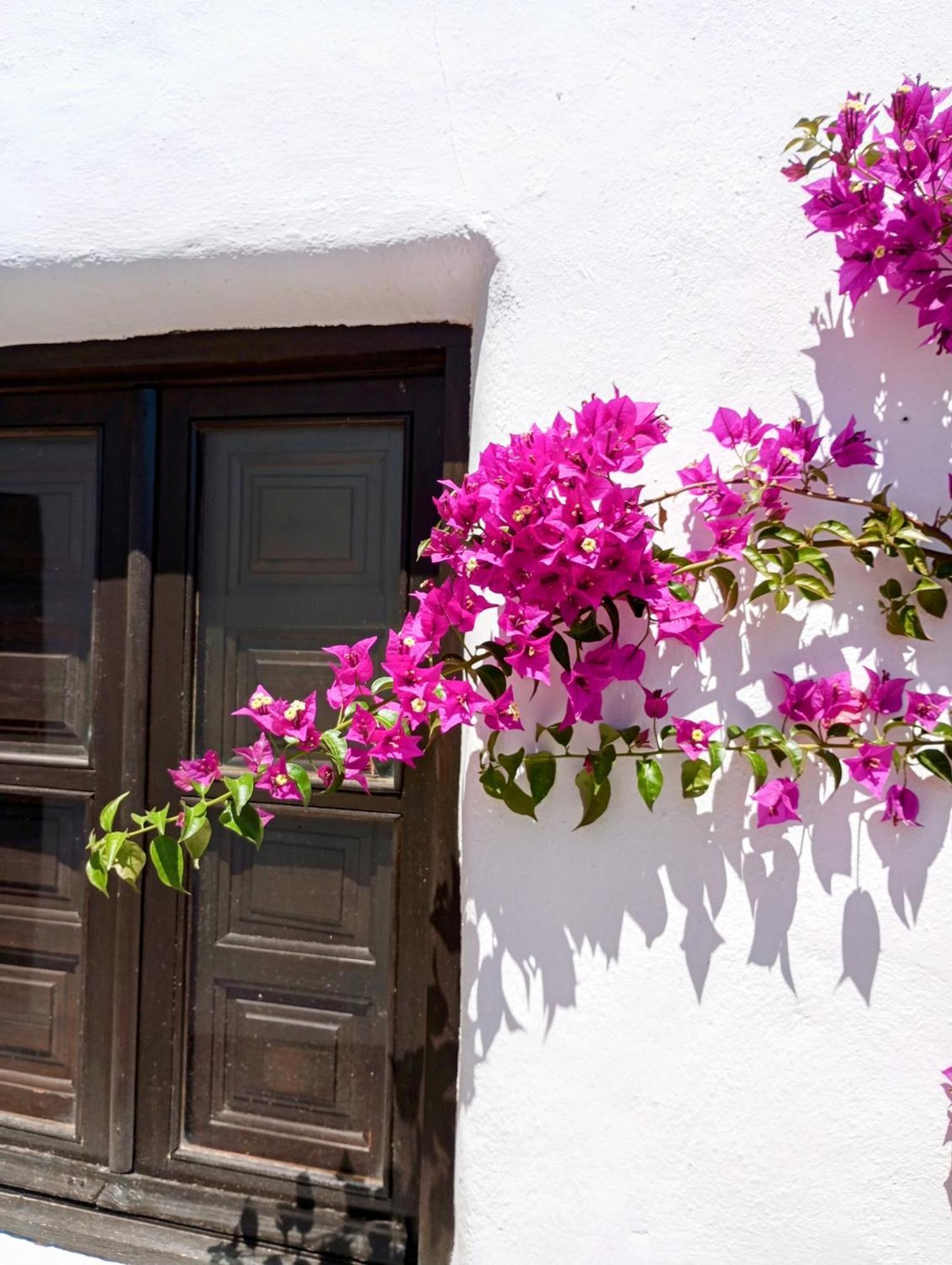 Casa Miguel Montefrio Villa Granada Dış mekan fotoğraf